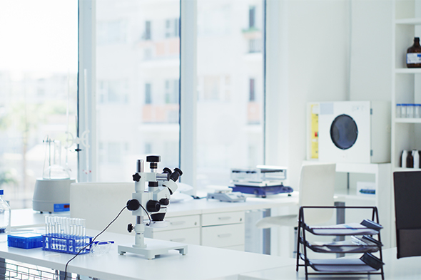 Interferon-Blocking Strategies in Systemic Lupus Erythematosus Research