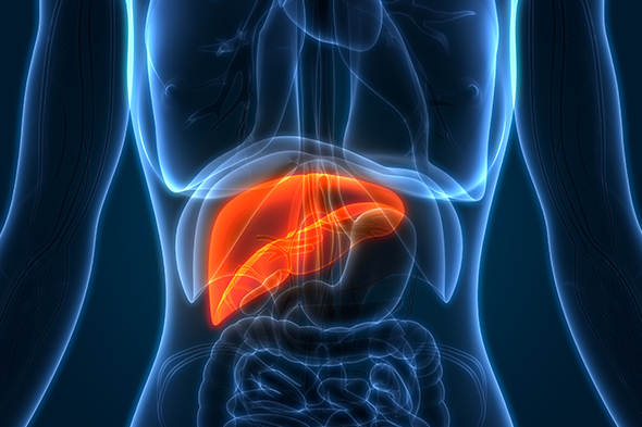 Nonalcoholic Steatohepatitis: Monotherapies and Combination Therapies in Development