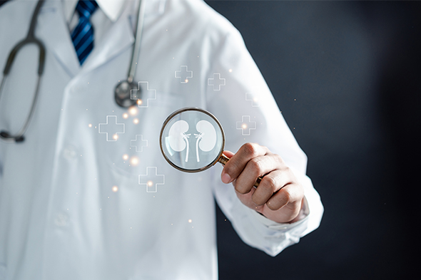 Conference Reporter in Immunoglobulin A Nephropathy & Complement 3 Glomerulopathy: Complement-Mediated Kidney Diseases to Cover Key Topics Being Presented at Kidney Week 2023