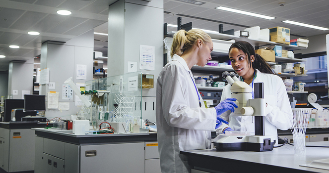 Cognitively Sparing Compounds vs Procognitive Therapies