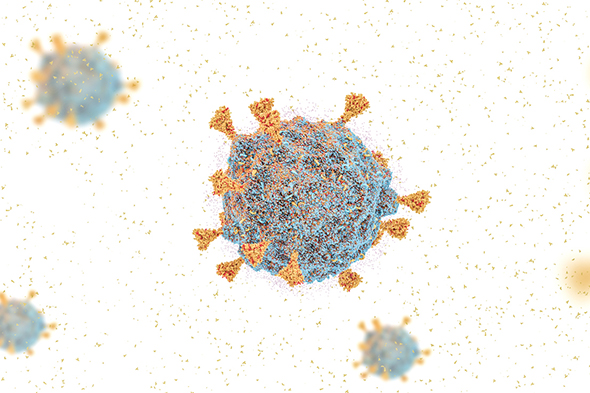 Clinical and Seasonal Overlap of Influenza and COVID-19