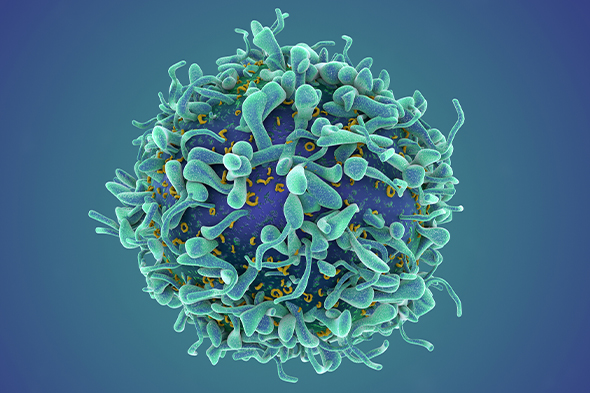 Naive T Cells and Their Role in Chronic Graft-versus-Host Disease