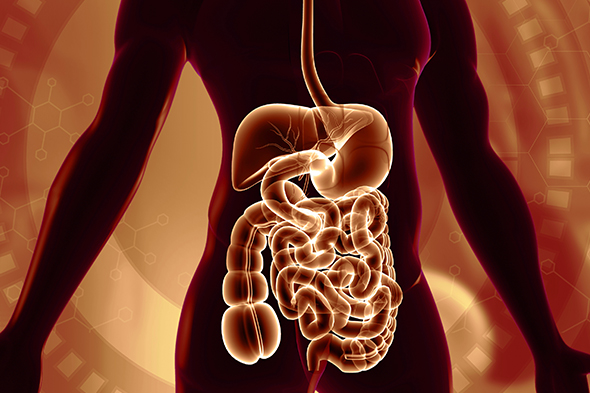 The Multimodal Treatment of Gastroenteropancreatic Neuroendocrine Tumors and Available Data on Combinatorial Strategies