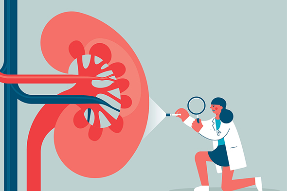 IgA Nephropathy: The Role of Complement and Its Targeted Therapies