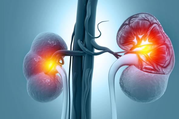 Treatment Recommendations for IgA Nephropathy