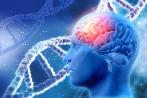 Genetic Risk Factors for Alzheimer’s Disease