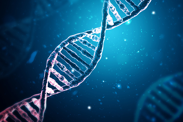 Current and Future Roles of Next-Generation Sequencing in HER2+ Breast Cancer