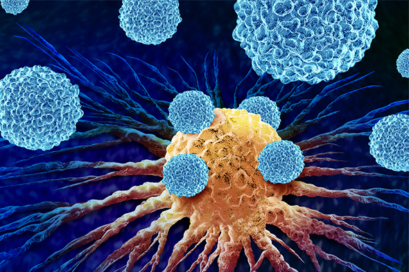 Covalent BTK Inhibitor–Pretreated Mantle Cell Lymphoma