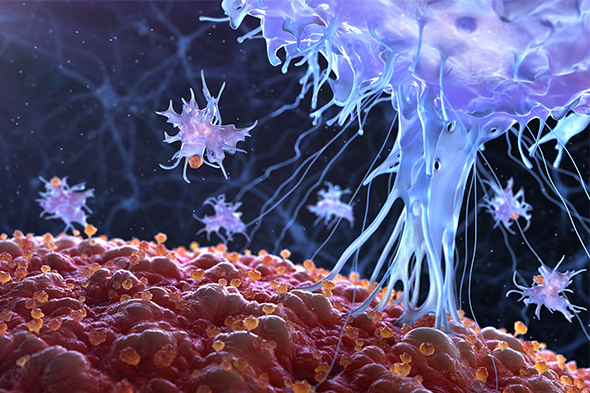 Coinhibition and Cotargeting Strategies in Advanced Prostate Cancer