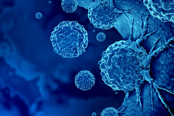 Immune Recovery and Treatment-Free Remission in Chronic Myeloid Leukemia