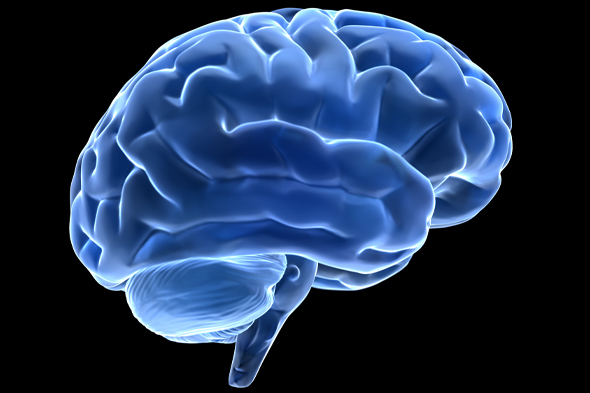 Advanced Prostate Cancer: Management of Sexual Dysfunction