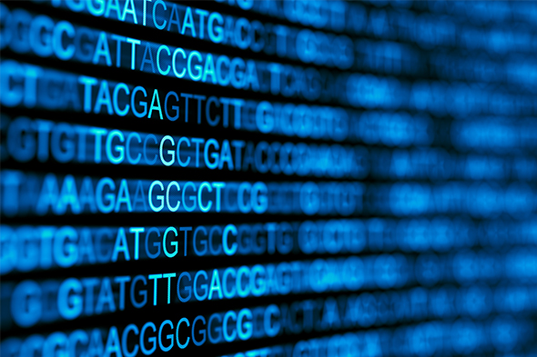 Highlight Article: Integrating Genomics Into the Classification and Management of MDS