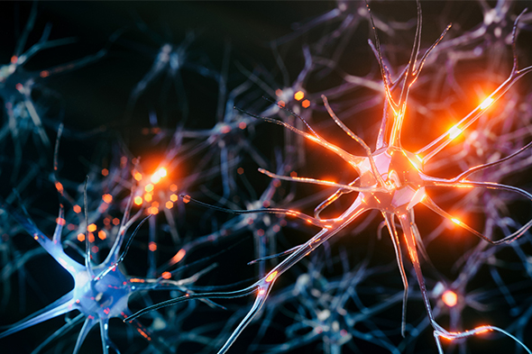 Evolution in Thinking About Amyloid in Alzheimer’s Disease