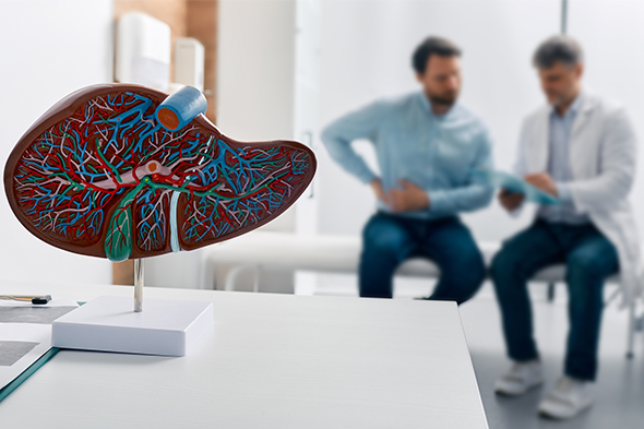 IgA Nephropathy: Extrarenal Impacts, Comorbidities, and Complications