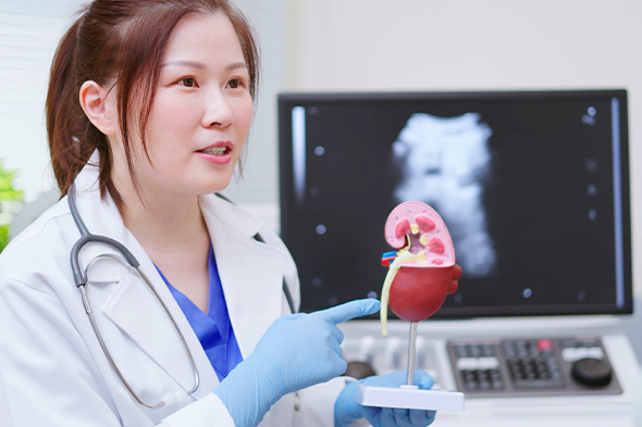 Kidney Transplant Outcomes in Patients With IgA Nephropathy