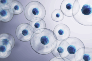 Maintenance Strategies in the Posttransplant Setting